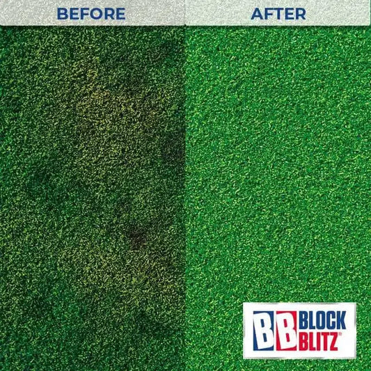 Block Blitz Artificial Grass Eco Cleaner