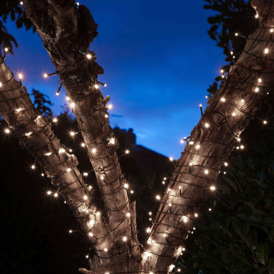 NOMA warm white LED string lights wrapped around a garden tree