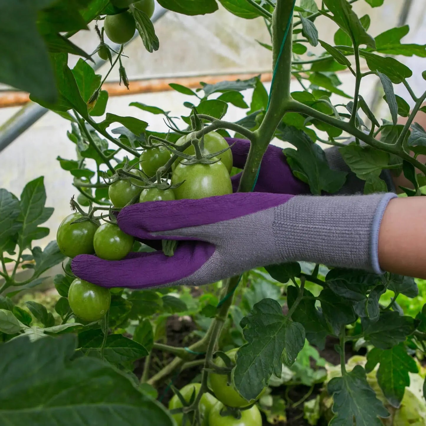 Town & Country Weed Master Bamboo Gloves - Teal