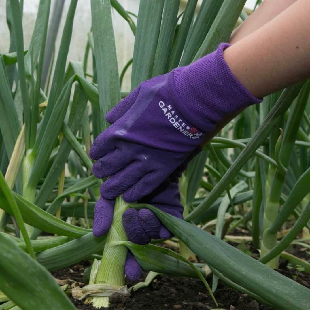 Town and Country master gardener gloves being used 