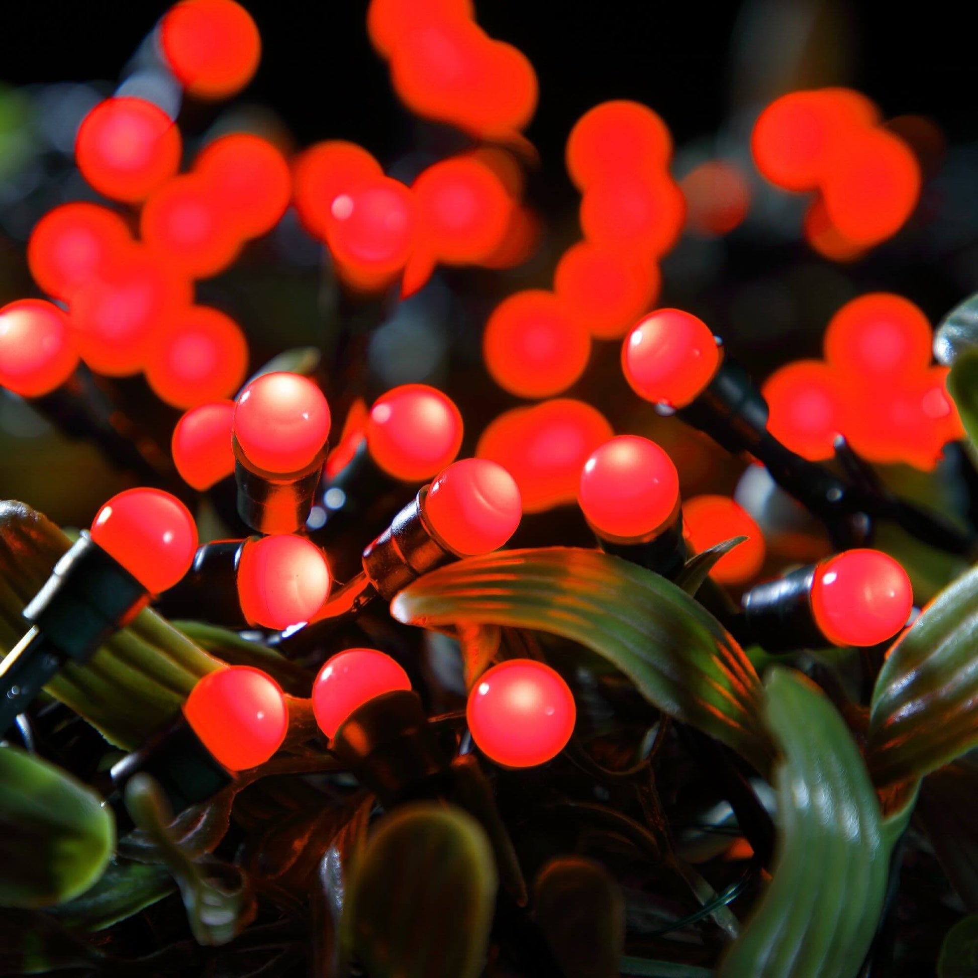 close up shot of NOMA red berry LED string lights