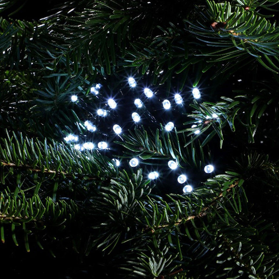 close up shot of NOMA cool white LED string lights in a cluster on a Christmas tree