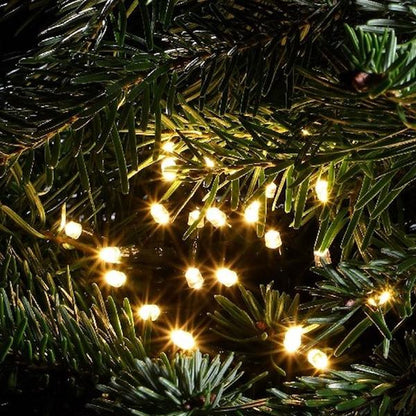 close up shot of NOMA warm white LED string lights in a cluster on a Christmas tree