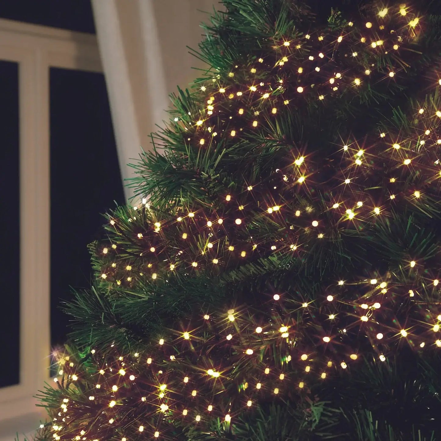 NOMA Warm White LED Cluster Lights With Green Cable